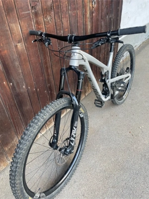 Propain Tyee AL 29  2020 Raw Gr. L Bild 9