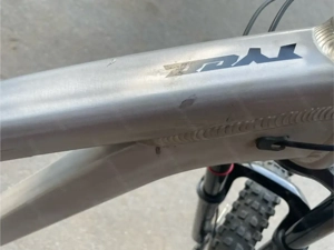 Propain Tyee AL 29  2020 Raw Gr. L Bild 2