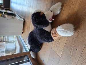 Kuscheltier   Plüschtier   Hund