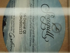 Gitarre  Godin  Bild 2