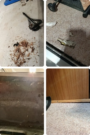 Dethlefs Beduin Wohnwagen Bild 6