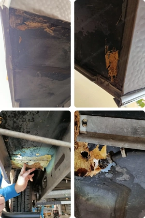 Dethlefs Beduin Wohnwagen Bild 5