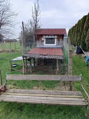 Hühnerzaun Bild 2