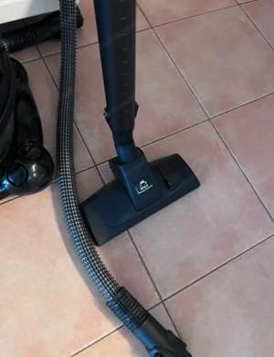 Hyla Est Evolution  Wasserstaubsauger Ventus heb Bild 4