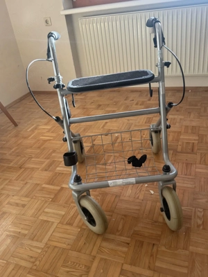 Rollator kostenlos 