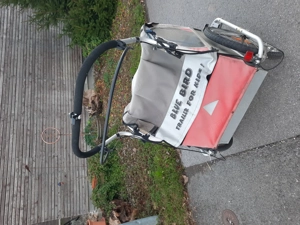 Kiki-Radanhänger Bild 3