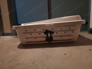 Katzenklo mit Katzenmotiv  Bild 2