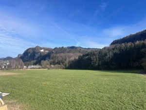 Lichtdurchflutete 4 Zimmer Terrassenwohnung mit Tollem Ausblick Provisionsfrei  Bild 2