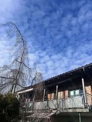 Lichtdurchflutete 4 Zimmer Terrassenwohnung mit Tollem Ausblick Provisionsfrei  Bild 3