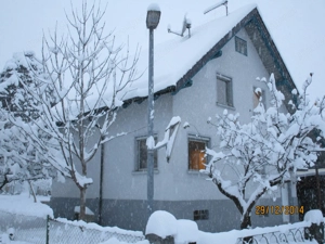 Haus in zentraler Lage  mit idyllischem Garten - Dornbirn 