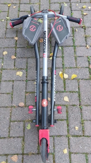Scooter Roller Bild 3