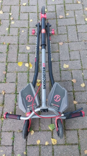 Scooter Roller Bild 5