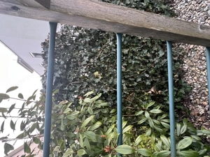 Klettergerüst Bild 5