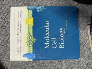 Molecular Cell Biology