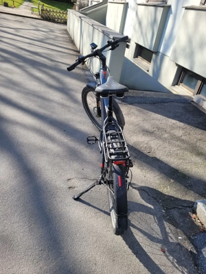 Trekking E-Bike Bild 4