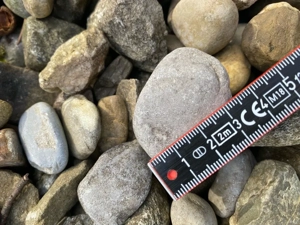 Flusskiesel zu verschenken Bild 2