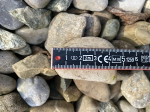 Flusskiesel zu verschenken Bild 3