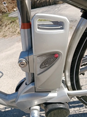 E Bike der Marke Flyer  Bild 2