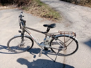 E Bike der Marke Flyer  Bild 4