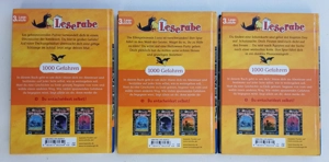 Leserabe 1000 Gefahren - Du entscheidest selbst 3.Lesestufe Bild 2