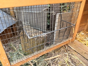 Kerbl Hasenstall doppelstöckig Bild 4