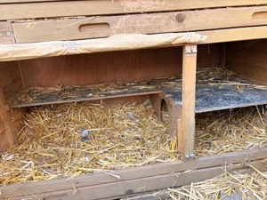 Kerbl Hasenstall doppelstöckig Bild 3