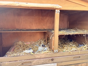 Kerbl Hasenstall doppelstöckig Bild 2