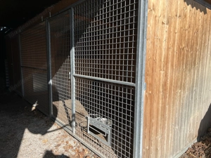 Hundezwinger Bild 6