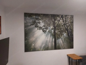 Sehr großes Bild Leinwand 1,4 x 2m Wald Motiv  Bild 2