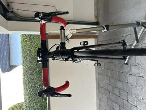 Rennrad S-Works Amira (Rahmengröße 44) Bild 10
