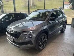 Skoda Karoq Bild 3