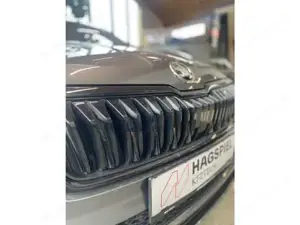 Skoda Karoq Bild 11