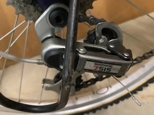 Kinder Jugendfahrrad Giant Flexx Bild 3