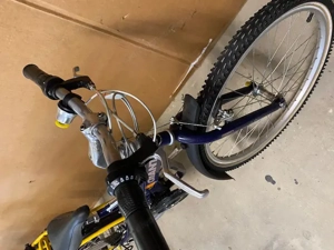 Kinder Jugendfahrrad Giant Flexx Bild 2