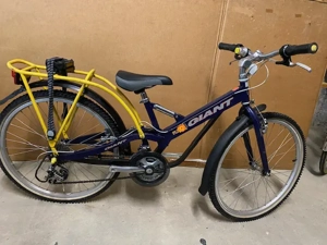 Kinder Jugendfahrrad Giant Flexx