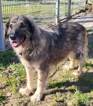 Tessa - NOTFALL Österreich Bild 2