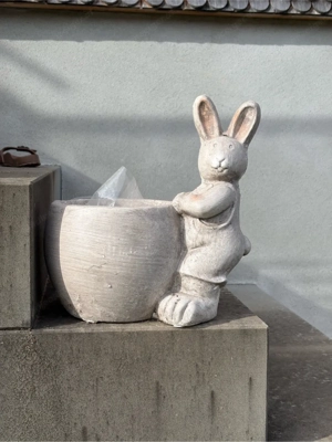 Osterhase Blumentopf Gartenblumen Bild 2