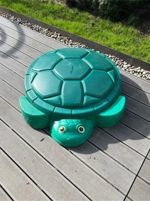 sandschildkrote Bild 3