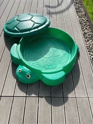 sandschildkrote Bild 2