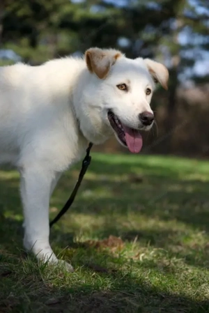 Clara - NOTFALL Österreich Bild 4