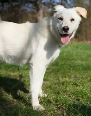 Clara - NOTFALL Österreich Bild 2