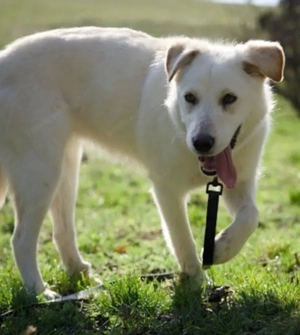 Clara - NOTFALL Österreich Bild 3