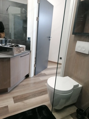 Homeoffice-Apartment all incl., DO, möbliert, WLAN, 33 m2, Miniküche mit KS, Dusche+WC, Erstbezug Bild 4