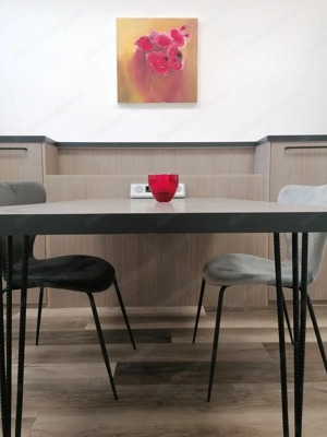 Homeoffice-Apartment all incl., DO, möbliert, WLAN, 33 m2, Miniküche mit KS, Dusche+WC, Erstbezug Bild 3