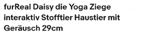 Joga Ziege  Bild 4