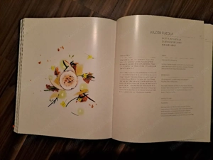Kochbücher  Bild 2