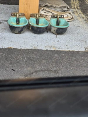 Suevia Tränkebecken