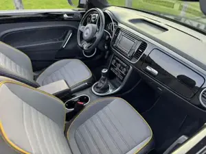 VW Beetle Bild 20