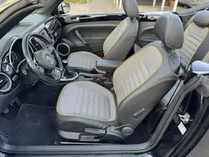 VW Beetle Bild 19