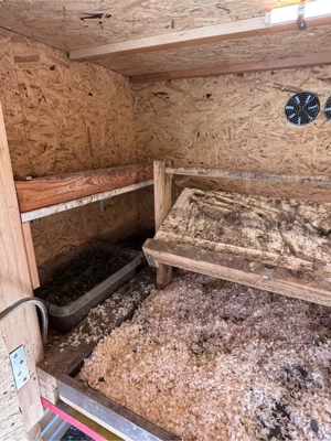 Hühnerstall Bild 3
